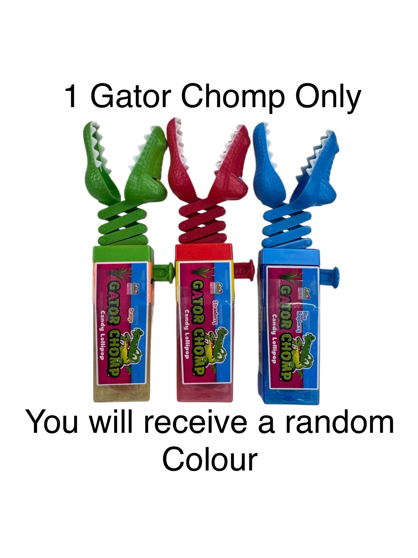 1 Gator Chomp - colour sent at random